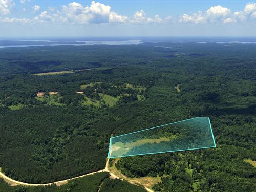 20 Acres w Water Well & Power : Dover : Stewart County : Tennessee