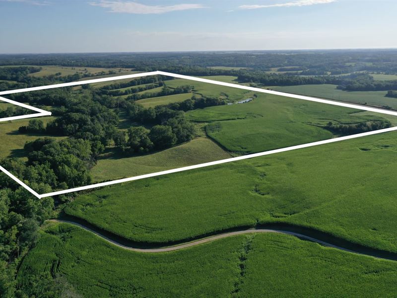 140 Acres M/L, Van Buren County : Bonaparte : Van Buren County : Iowa