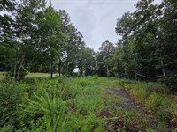 Dennard 30 Acres : Dennard : Van Buren County : Arkansas
