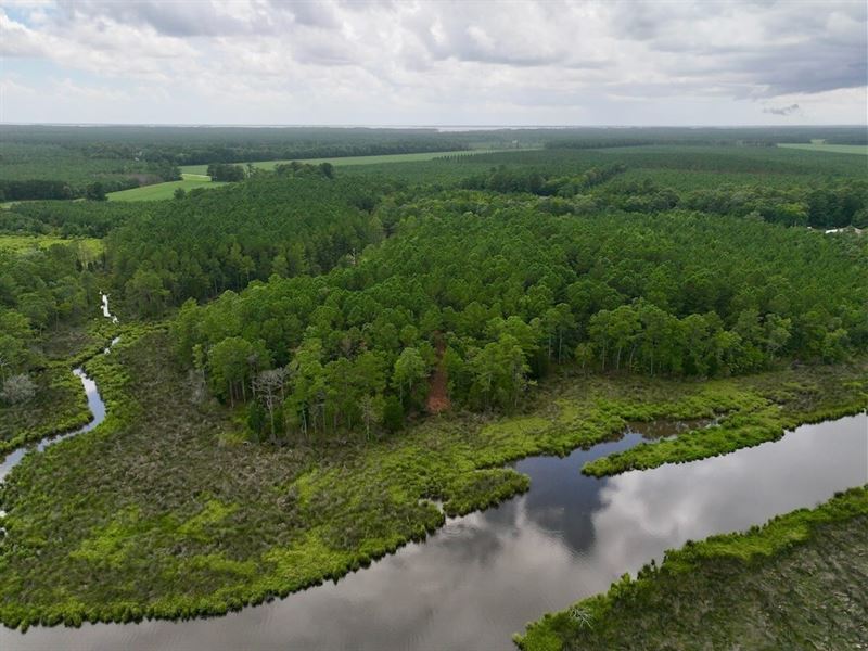 1.87 Acres of Unrestricted Resident : Belhaven : Beaufort County : North Carolina