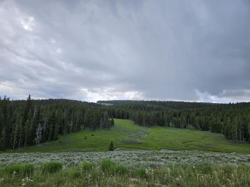Rangeland Adventures : Sheridan : Sheridan County : Wyoming