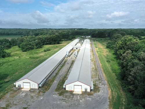 Red Rock Ranch Breeder Farm : Dresden : Weakley County : Tennessee