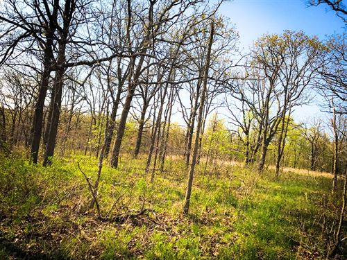 6.63 Wooded Acres with Power : Edwards : Benton County : Missouri