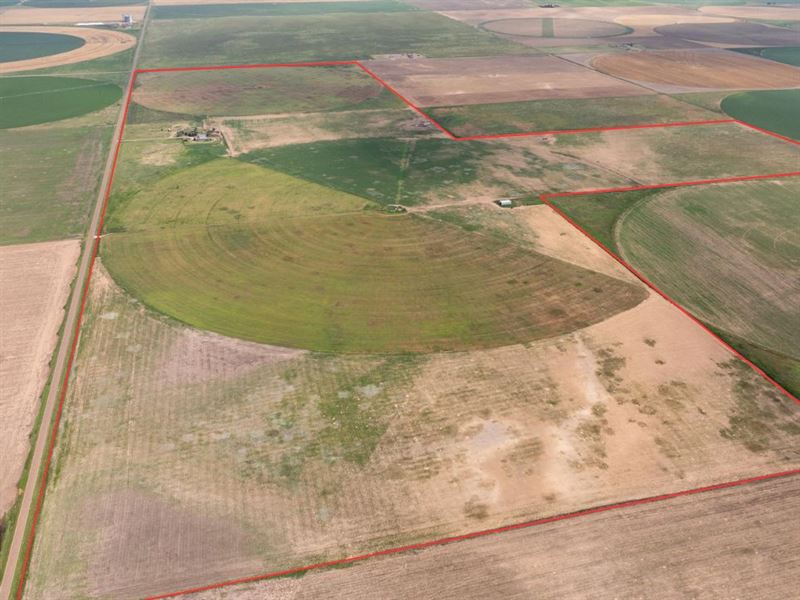 Kallenbach Irrigated Farm : Rolla : Morton County : Kansas