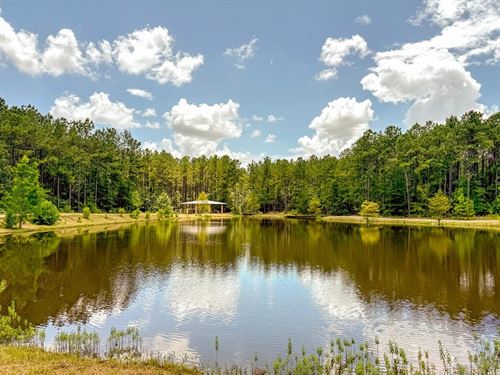 60 Acres, 1682 FM 980 : Huntsville : Walker County : Texas