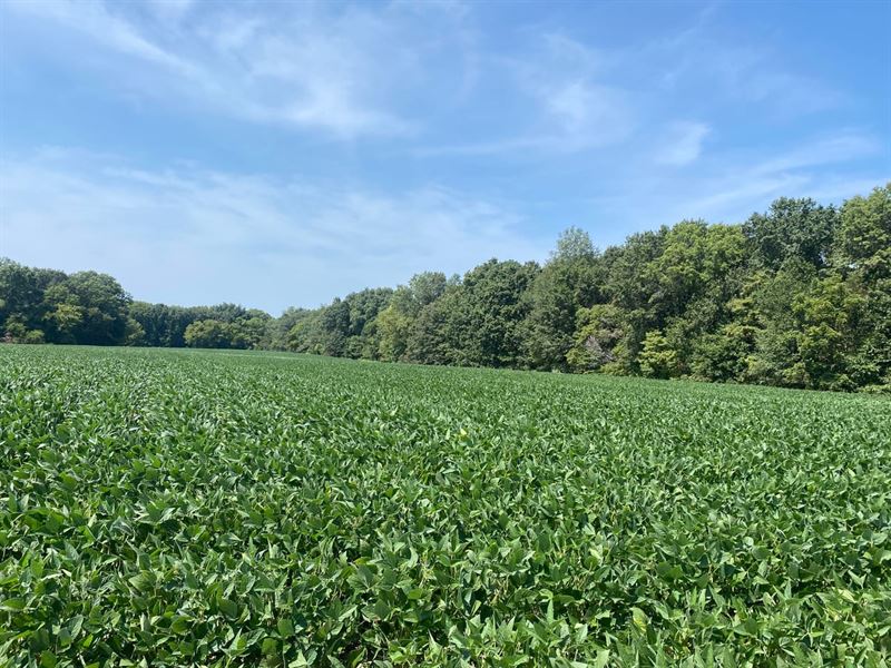Cowden Lots : Cowden : Fayette County : Illinois
