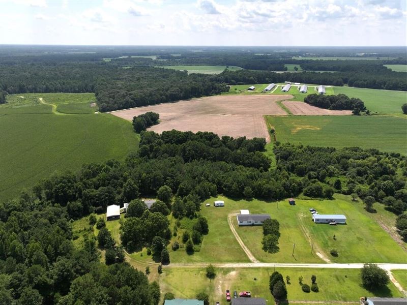 1.943 Acres of Residential Land : Pikeville : Greene County : North Carolina