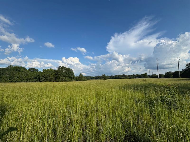 Beautiful Open Homesite Everly Plac : Prattville : Autauga County : Alabama