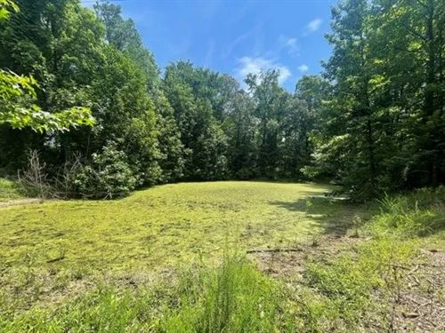 80 Acres in Tallahatchie County : Grenada : Tallahatchie County : Mississippi