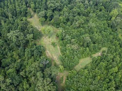 Hunting Land in Claiborne County : Utica : Claiborne County : Mississippi