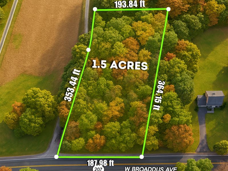 Brooks Rd in Bowling Green, VA : Bowling Green : Caroline County : Virginia
