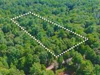 Wooded Hideaway Mins From Ellijay : Ellijay : Gilmer County : Georgia