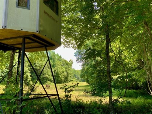 100 Acre Hunters Dream in Decatur : Decaturville : Decatur County : Tennessee