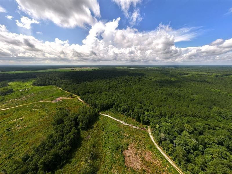 26.78 Acres of Land for Sale in Jon : Trenton : Jones County : North Carolina