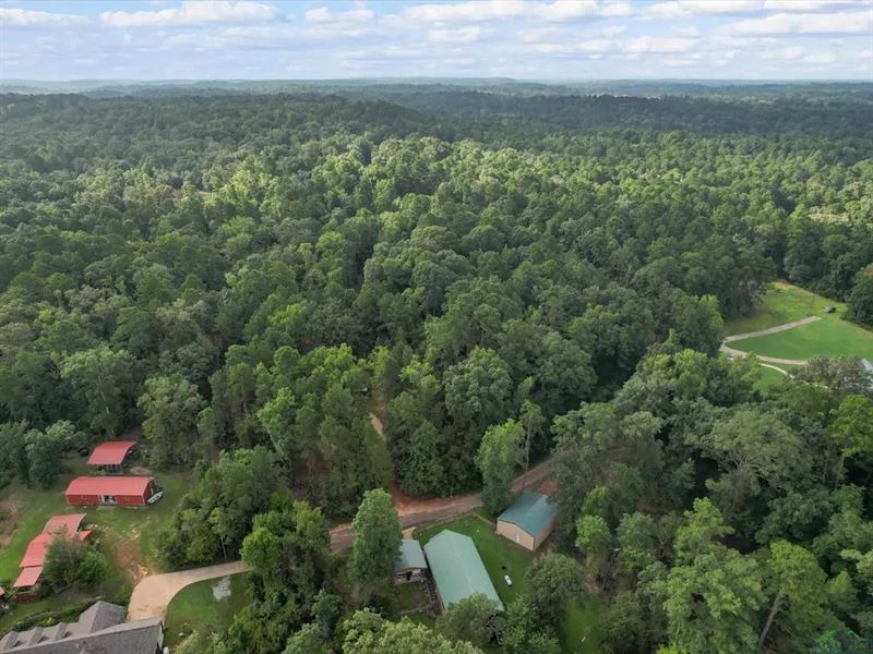 1 Acre Lot in Hughes Springs TX : Hughes Springs : Cass County : Texas