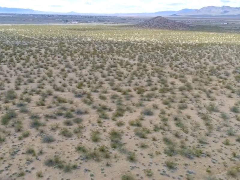 Camp, Mobile & Tiny Home Allowed : Mohave Valley : Mohave County : Arizona