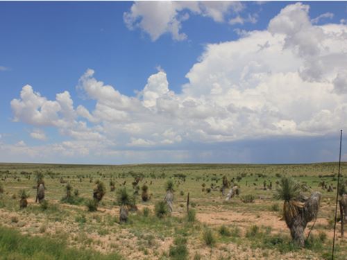 40 Acres Only 2 Miles From Paved Rd : Sierra Blanca : Hudspeth County : Texas