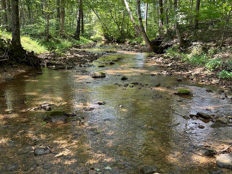 Tennessee Ridge 95 : Dover : Stewart County : Tennessee