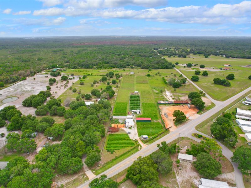 Certified Organic Farm on Fertile A : Lake Wales : Polk County : Florida
