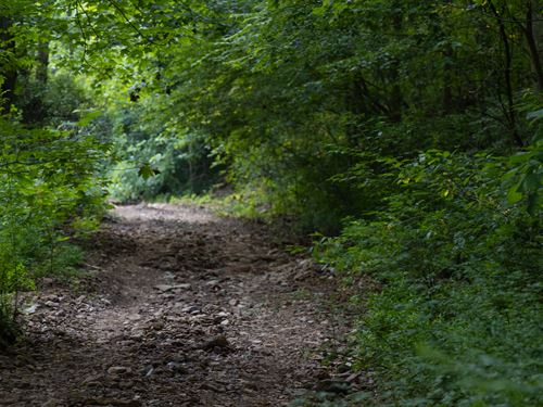 $999 Down/No Credit Check, Own Now : Mount Vernon : Rockcastle County : Kentucky