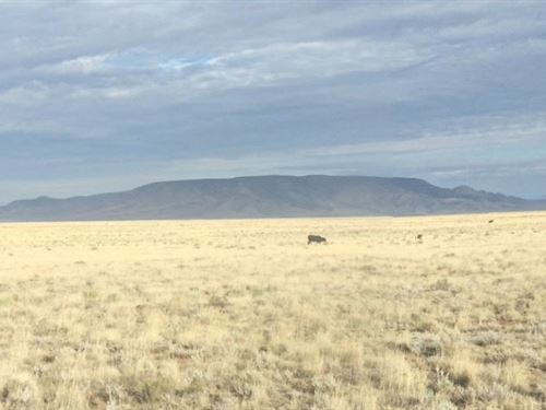5 Acres in Costilla County, CO : San Luis : Costilla County : Colorado
