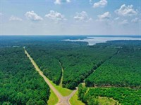 Jefferson TX Lot, Paved Access : Jefferson : Marion County : Texas