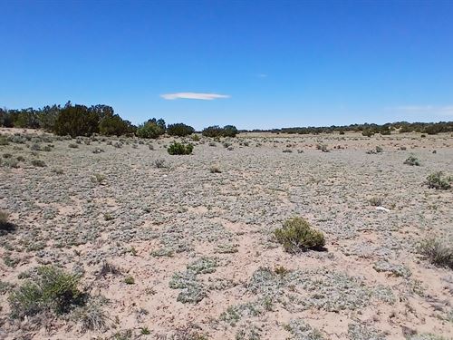 Apache Camping Lot : Sanders : Apache County : Arizona