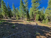 Home with Camping in No Flood Risk : Alturas : Modoc County : California