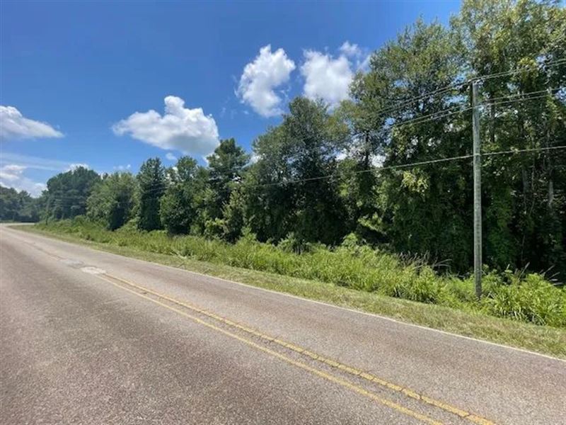 44.5 Acres Rushingtown Rd : Tylertown : Walthall County : Mississippi