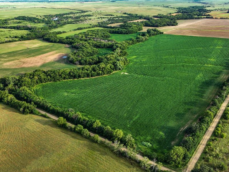 Ottawa County Creek Bottom : Solomon : Ottawa County : Kansas