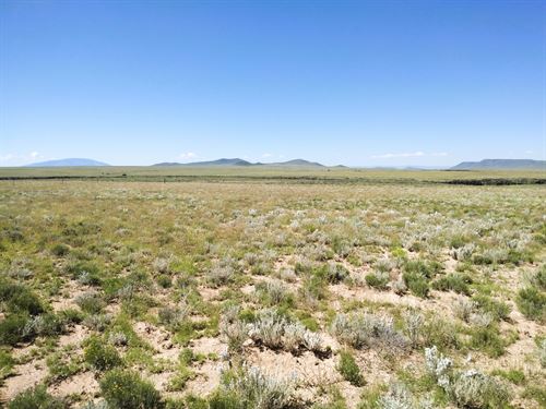 Prime & Affordable Lot Near River : San Luis : Costilla County : Colorado