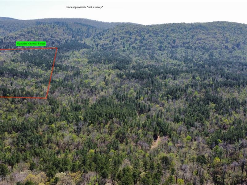 Tract 2, Hopper 40 : Caddo Gap : Montgomery County : Arkansas