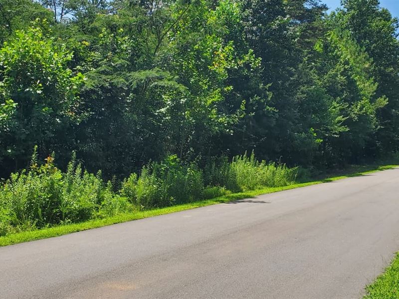 .75Ac, 168 Valley Springs Dr : Olin : Iredell County : North Carolina