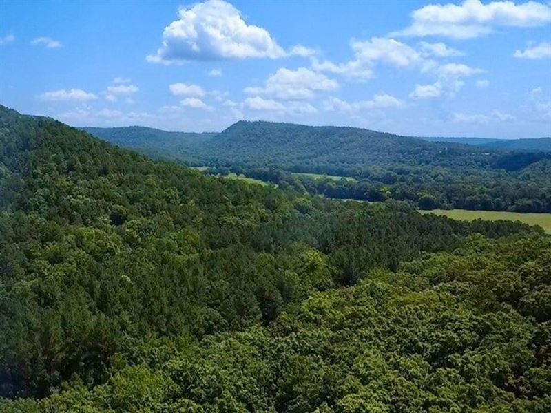 Turkey Hollow : Shirley : Van Buren County : Arkansas
