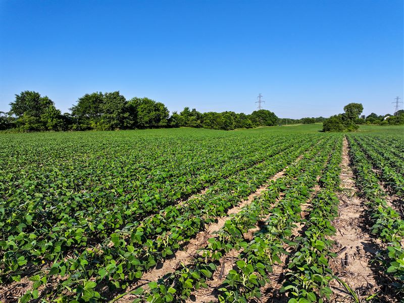 Land Auction, Noble County, Indiana : Kendallville : Noble County : Indiana
