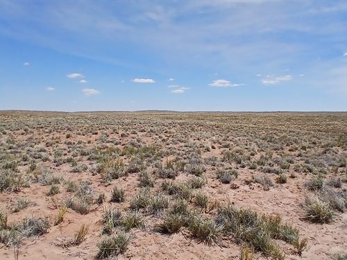 1 AC in Sun Valley, Escape The City : Sun Valley : Navajo County : Arizona