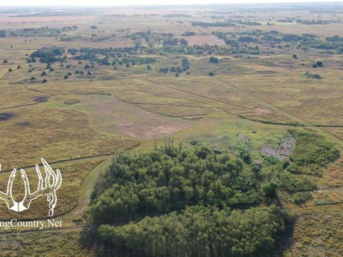 80 Acres Alfalfa County, OK : Amorita : Alfalfa County : Oklahoma