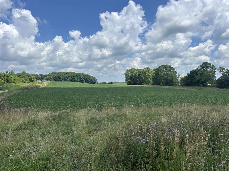Land for Sale, Madison County In : Alexandria : Madison County : Indiana