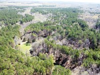 Hinkle Creek 200 : Rienzi : Alcorn County : Mississippi