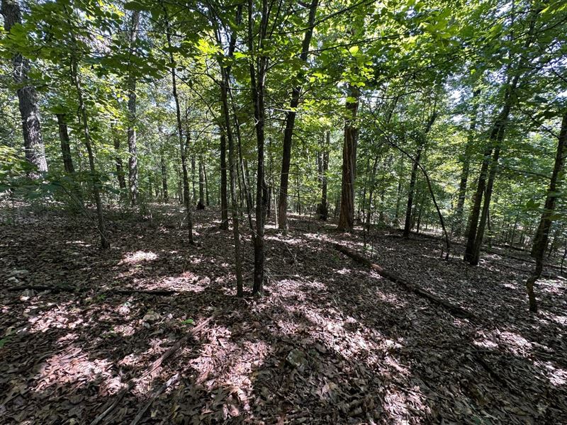 12 Acres, Sharp County, Gravel : Hardy : Sharp County : Arkansas
