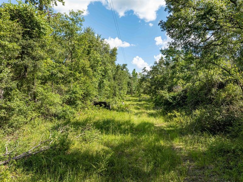 6.83 Acres : Jasper : Hamilton County : Florida