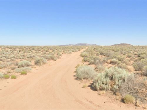 Peaceful 0.25 Ac Lot Near Schools : Los Lunas : Valencia County : New Mexico