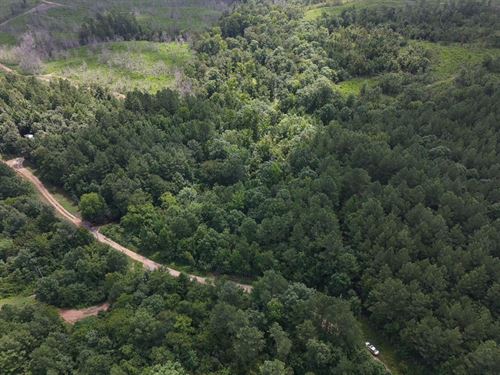 5 Acres in Clark County AR : Amity : Clark County : Arkansas