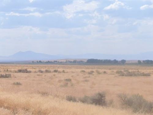 Recreational Cowboy Country Farm : Valmy : Humboldt County : Nevada