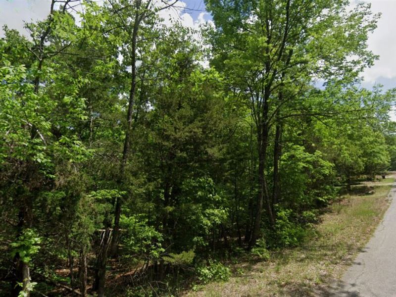 Peaceful Lot Near Crown Lake : Horseshoe Bend : Izard County : Arkansas