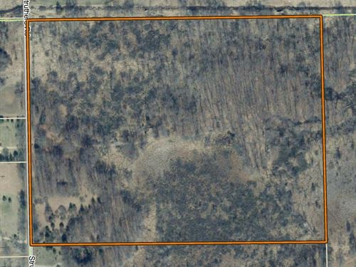 31.4 Acre Land in Sharon Township : Grass Lake : Washtenaw County : Michigan