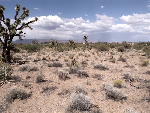 Live The Off-Grid Life : Dolan Springs : Mohave County : Arizona
