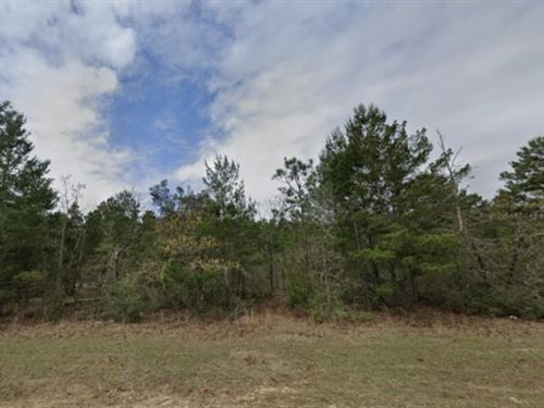 Build Your Tiny Oasis Near Target : Defuniak Springs : Walton County : Florida