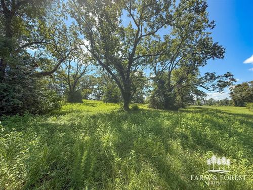 17 Ac, 87 Northeast, Coffee Co : Jack : Coffee County : Alabama