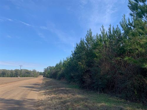 42 Acres, T-1, Nursery Road : Indian Springs : Polk County : Texas